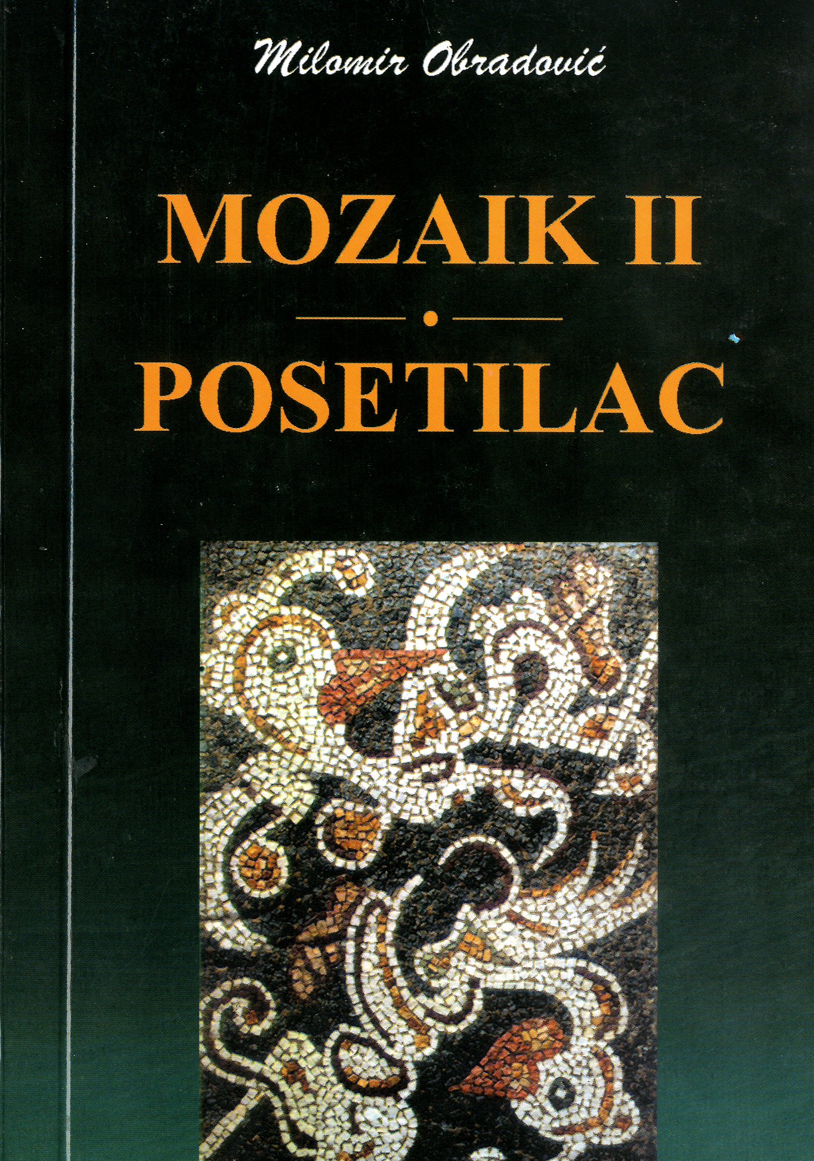 Мозаик II ; Посетилац